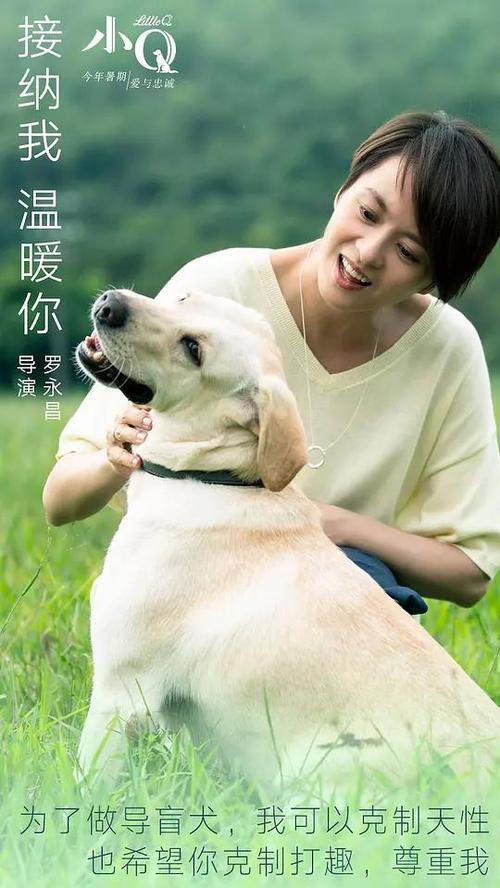 公务员考试需要学位证书吗